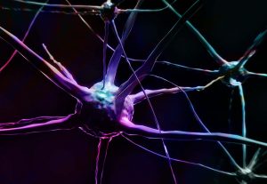 neuron brain dopamine habit formation reward pleasure addiction addiction